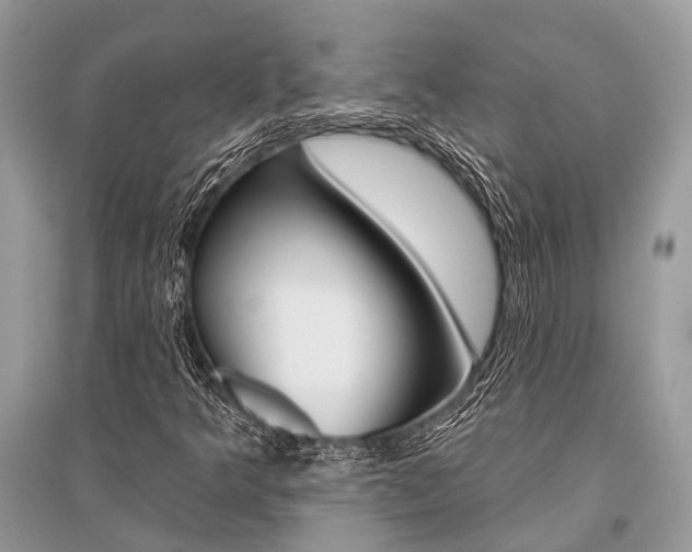 X0000096491349200801241200