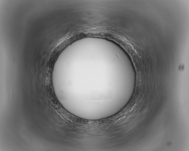X0000096491350200801241200