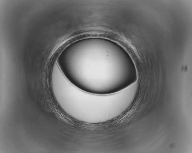 X0000096491352200801241200