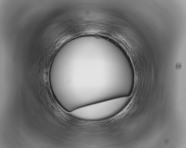 X0000096491353200801241200