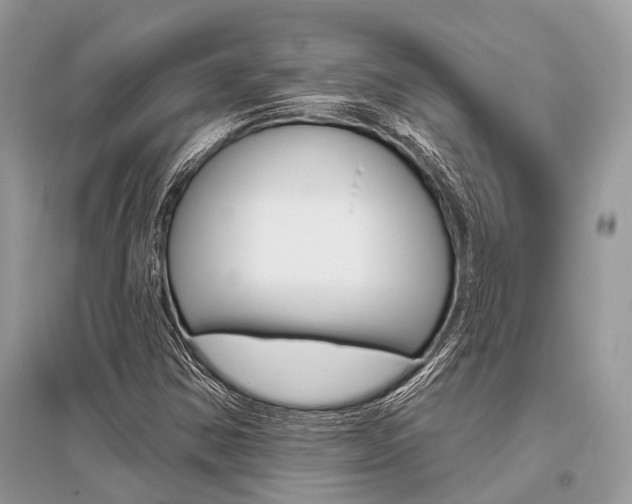 X0000096491354200801241200