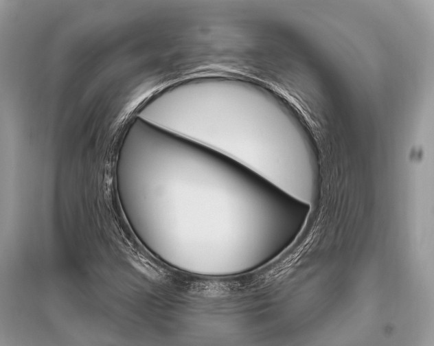 X0000096491355200801241200