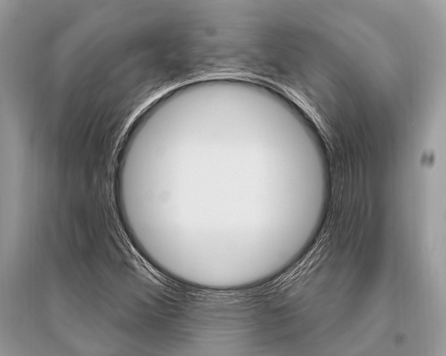 X0000096491356200801241200