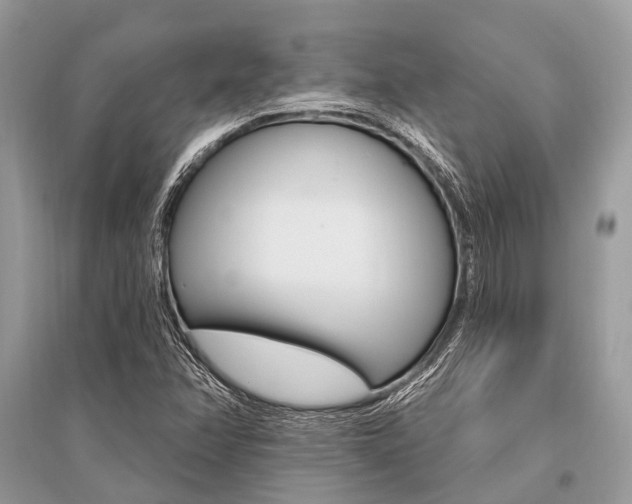 X0000096491358200801241200