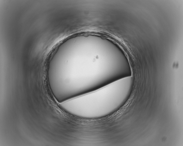 X0000096491359200801241200