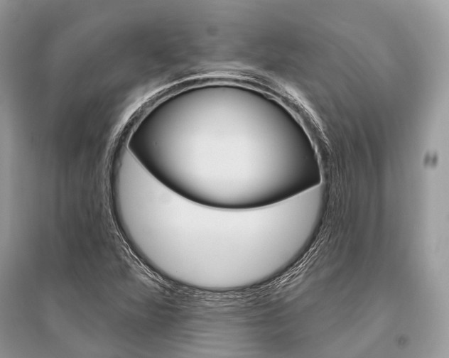 X0000096491360200801241200
