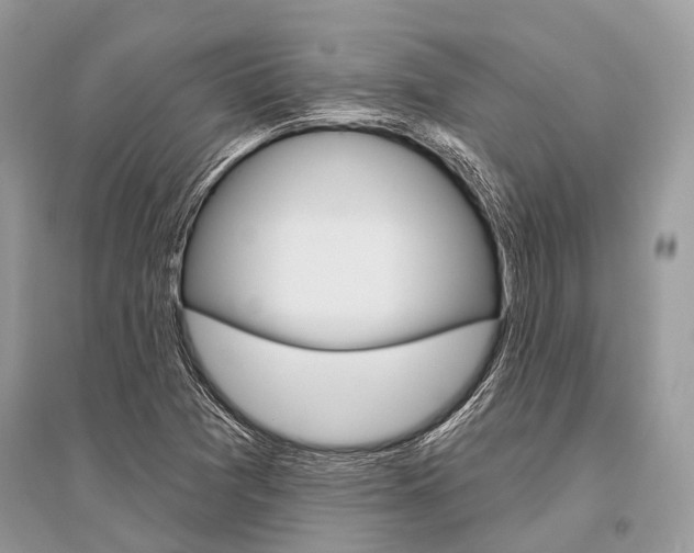 X0000096491361200801241200