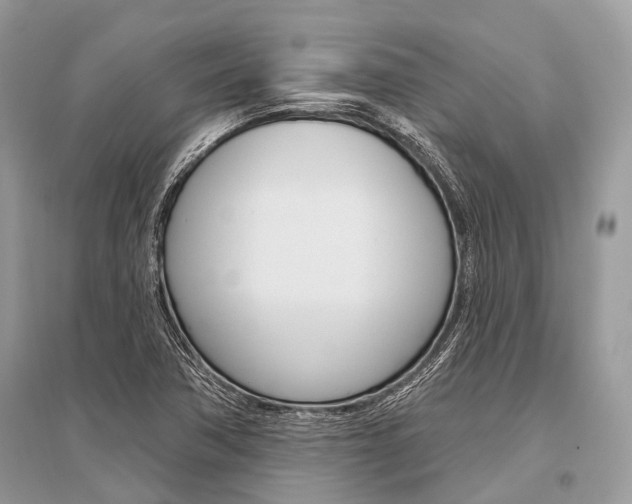 X0000096491362200801241200