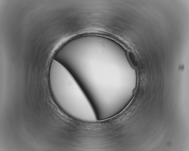 X0000096491363200801241200
