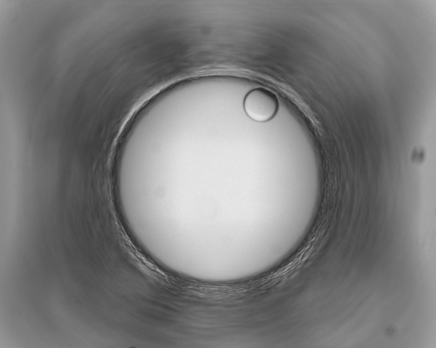X0000096491364200801241200