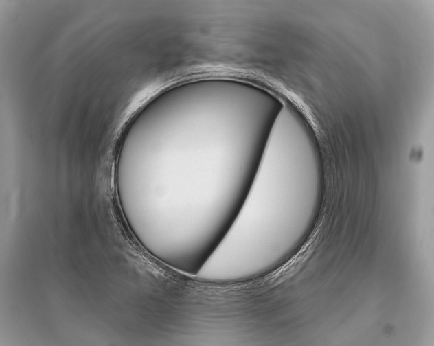 X0000096491365200801241200