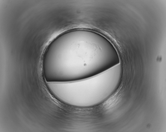 X0000096491367200801241200