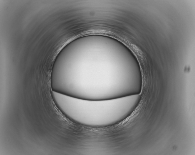X0000096491369200801241200