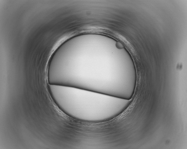 X0000096491370200801241200