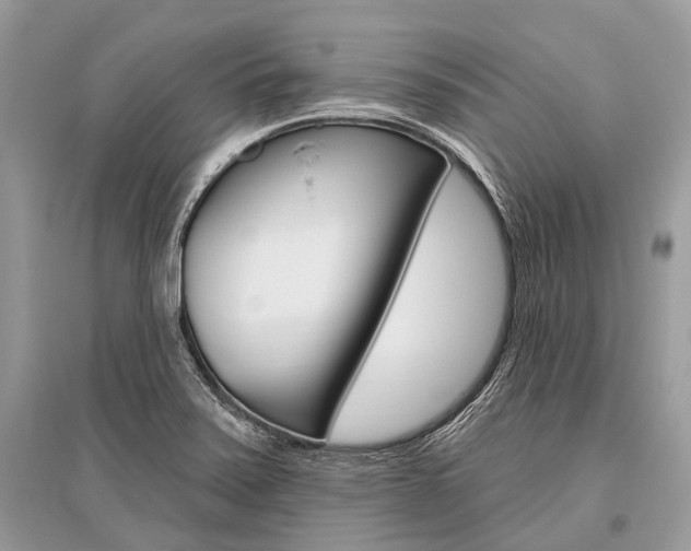 X0000096491371200801241200