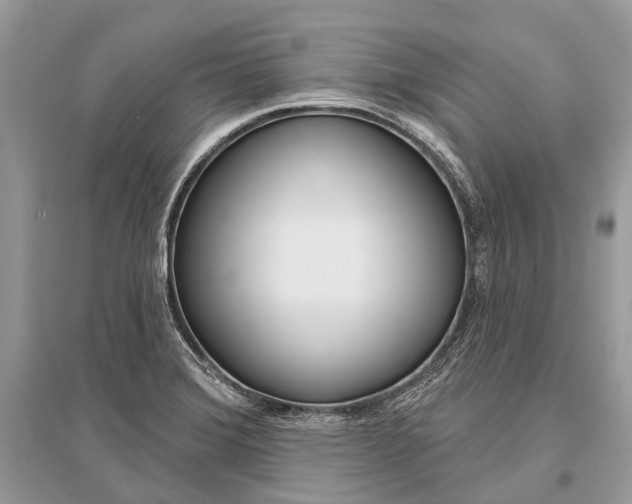 X0000096491372200801241200