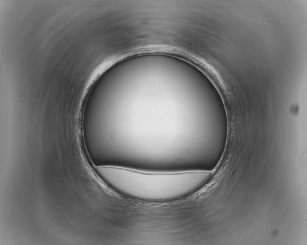 X0000096491373200801241200