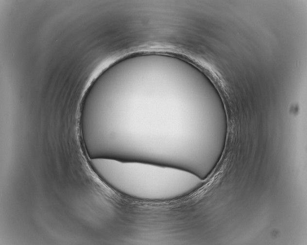 X0000096491374200801241200