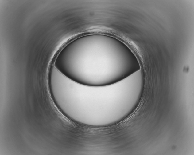 X0000096491376200801241200