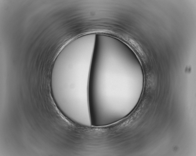 X0000096491377200801241200