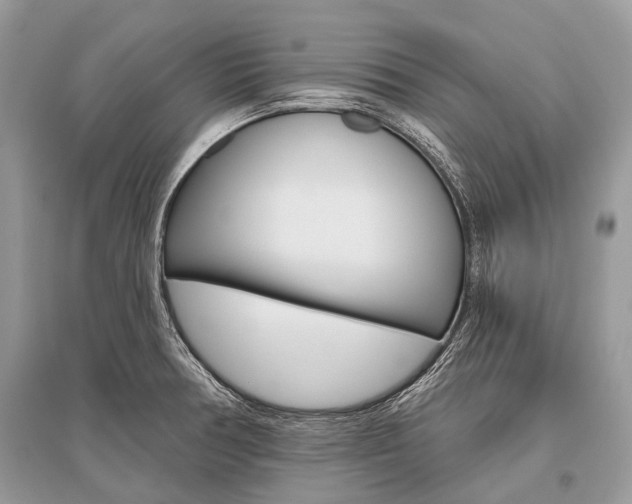X0000096491378200801241200