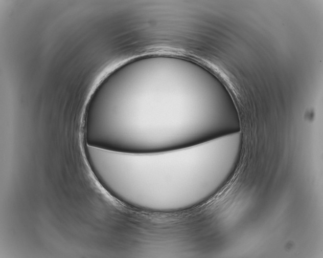 X0000096491379200801241200