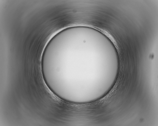 X0000096491380200801241200