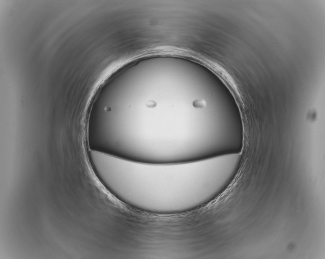 X0000096491381200801241200