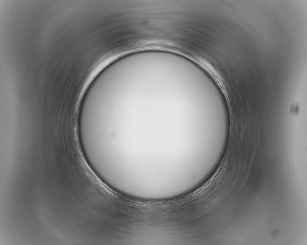 X0000096491384200801241200