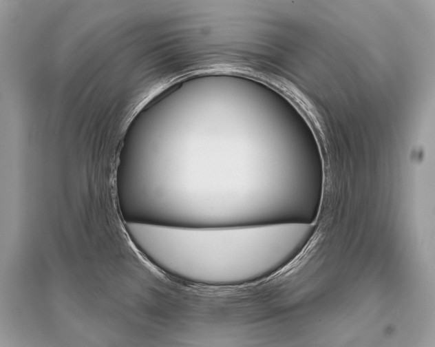X0000096491385200801241200