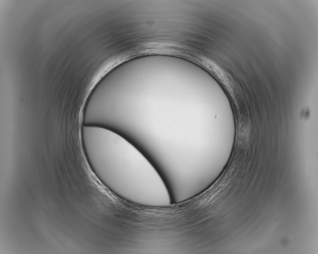 X0000096491386200801241200
