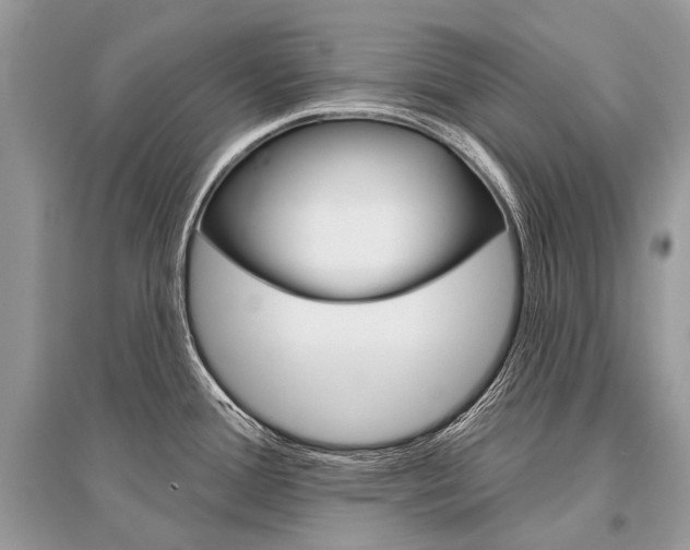 X0000096491388200801241200