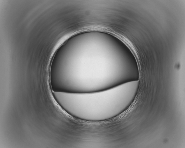 X0000096491389200801241200
