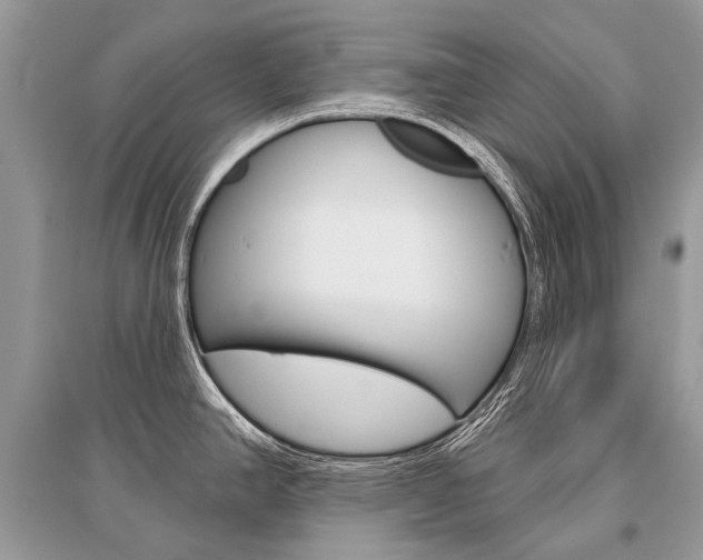 X0000096491390200801241200