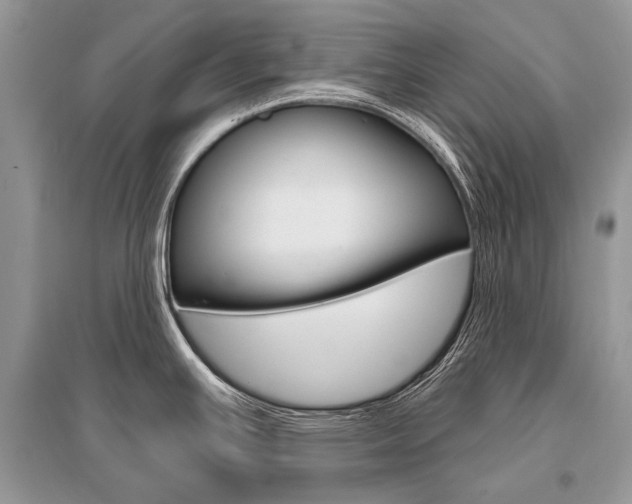 X0000096491391200801241200