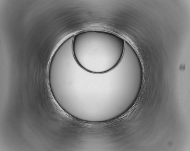 X0000096491392200801241200