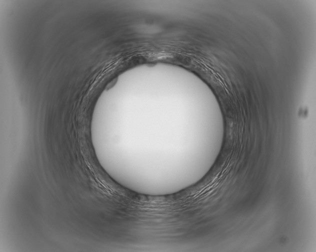 X0000096491393200801241159