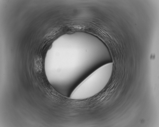 X0000096491394200801241159