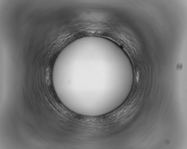 X0000096491396200801241159