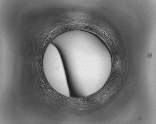 X0000096491397200801241159