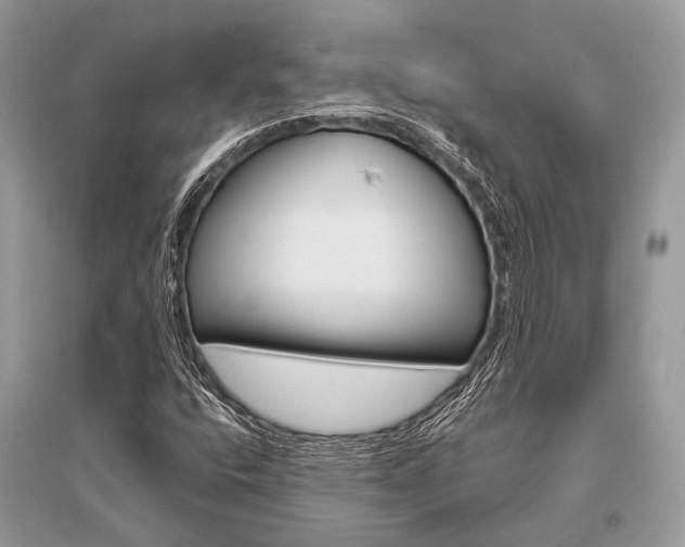 X0000096491400200801241159