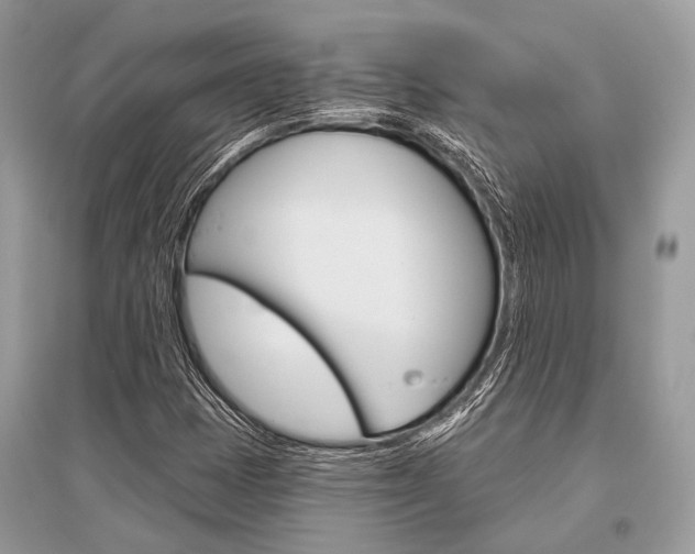 X0000096491401200801241159
