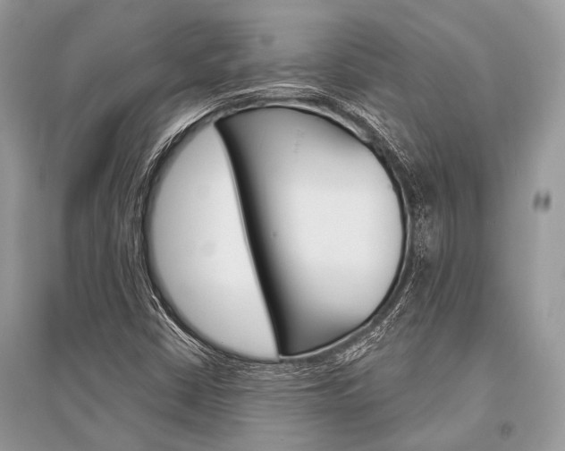 X0000096491402200801241159