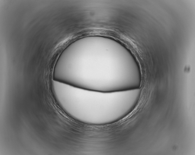 X0000096491403200801241159