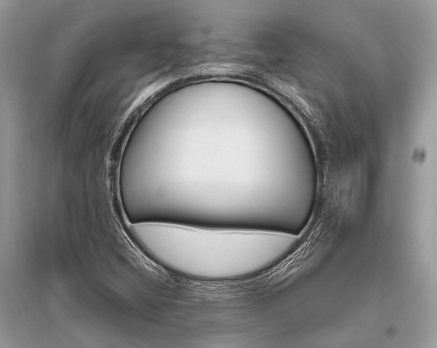 X0000096491404200801241159