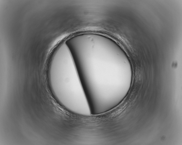 X0000096491406200801241159