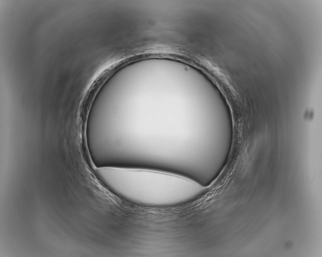 X0000096491408200801241159