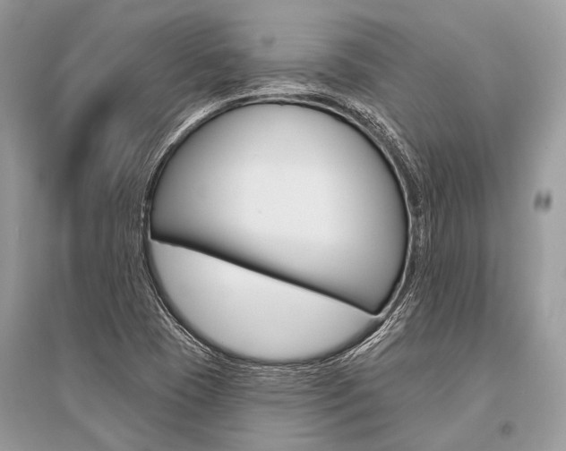 X0000096491409200801241159