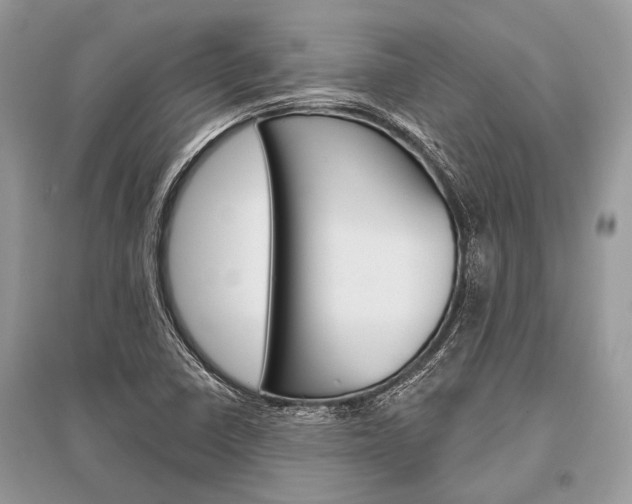 X0000096491410200801241159