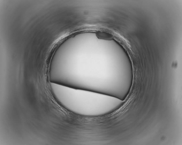 X0000096491411200801241159